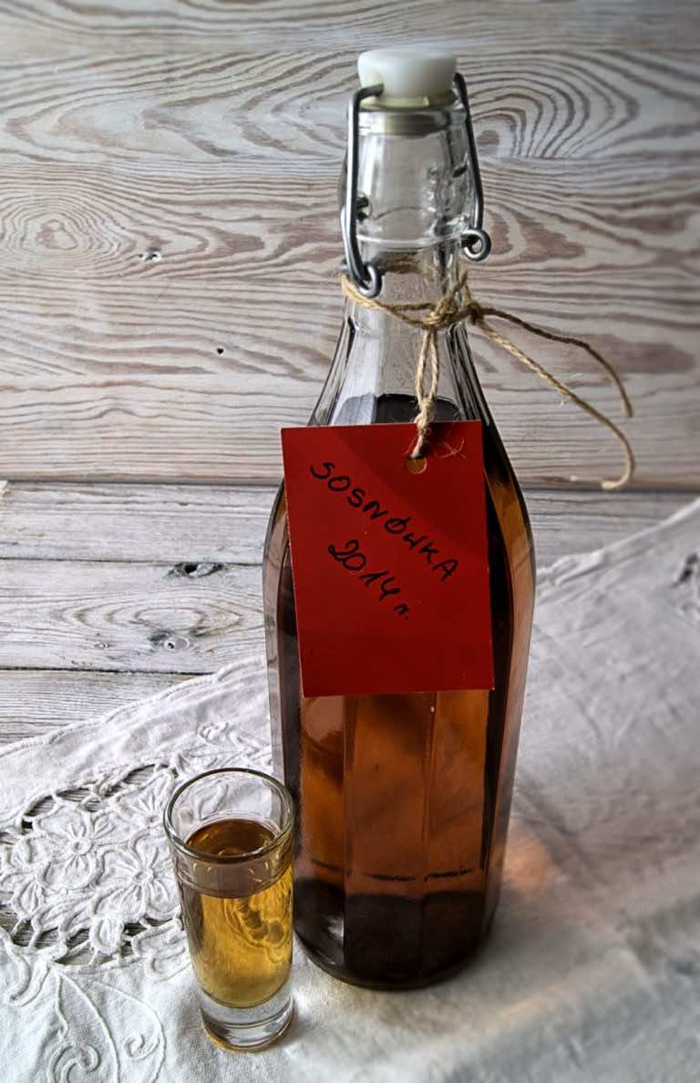 Sosnówka – nalewka na pędach sosny