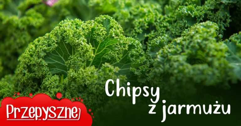 Chipsy z jarmużu w 5 minut! Przekąska bez wyrzutów sumienia :)