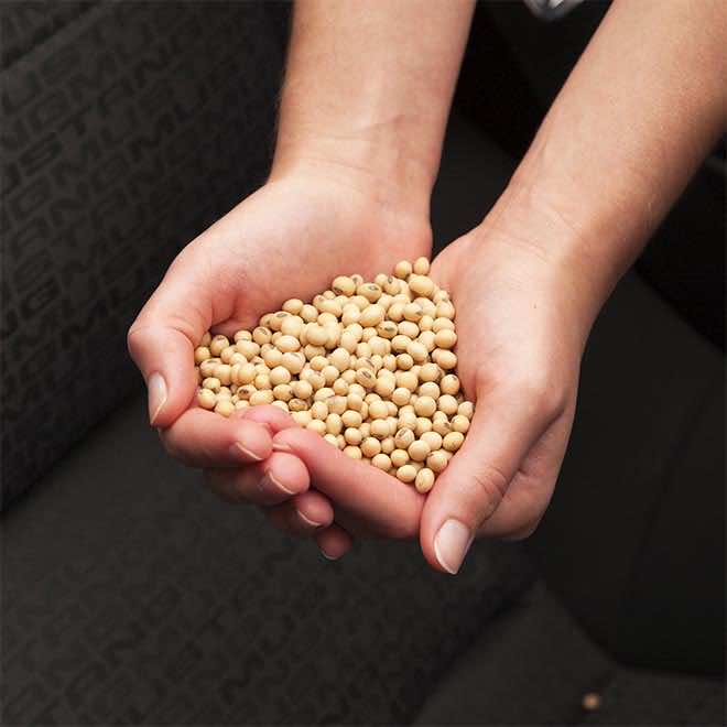 5 rzeczy o soi, które powinieneś wiedzieć, zanim użyjesz jej w swojej kuchni