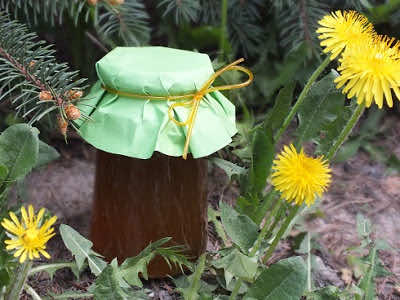 miód z mniszka – majowy miodek