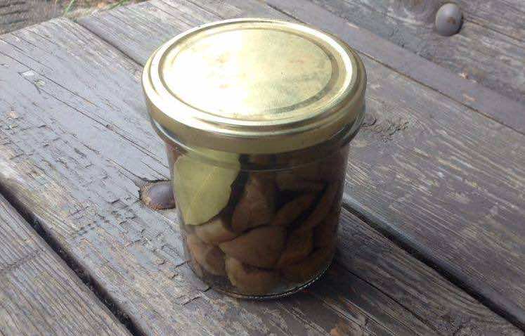 Smakowite marynowane grzyby!