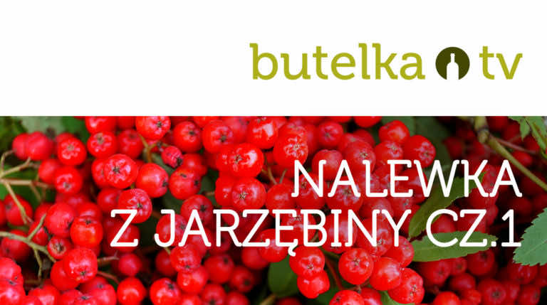 Zdrowa i wyjątkowa nalewka z jarzębiny CZ.1/2