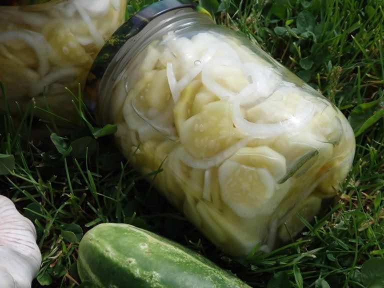Przetwory – ogórki z czosnkiem
