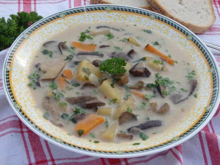 Zupa grzybowa ze świezych grzybów z ziemniakami