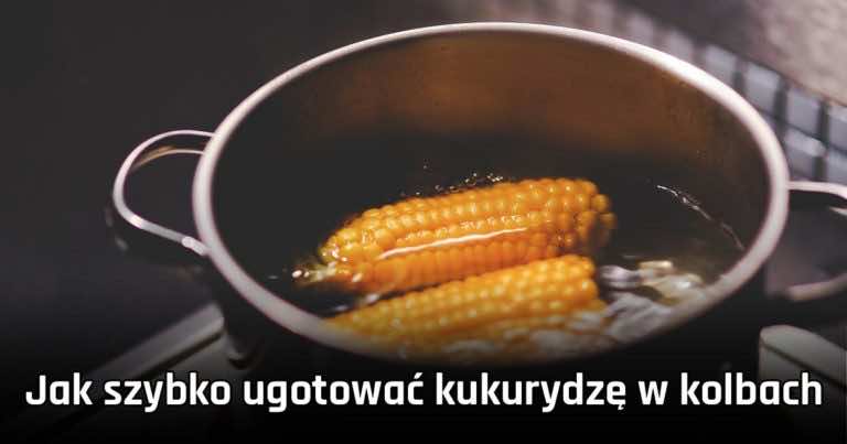 Jak szybko ugotować kukurydzę w kolbach