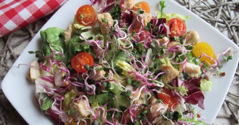 Kolorowa sałatka z kurczakiem i kiełkami