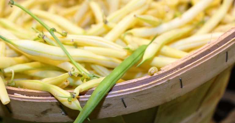 Fasola szparagowa do obiadu – co zrobić by była idealna?