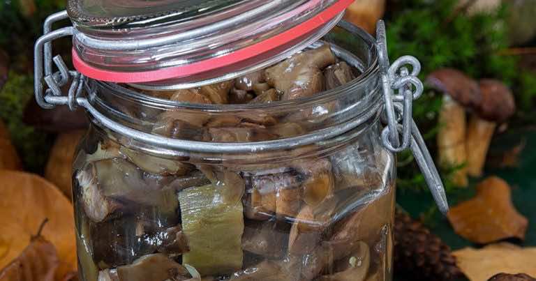 Jak marynować grzyby?