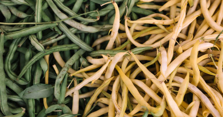 Jak mrozić fasolkę szparagową?