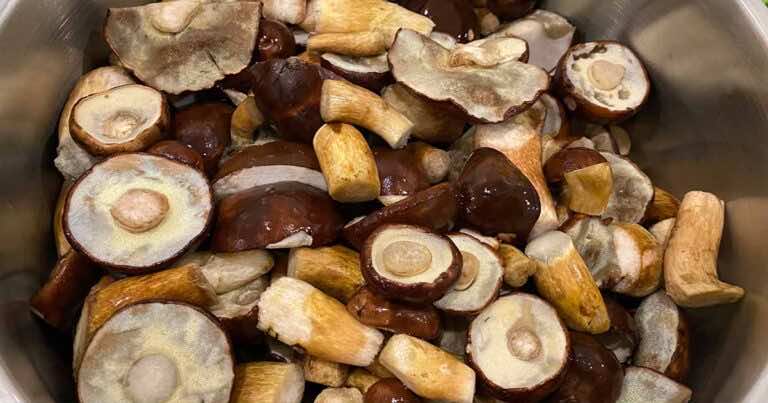 Ile czasu gotować grzyby, aby były dobre do jedzenia?