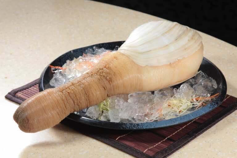 W Azji uchodzi za przysmak i afrodyzjak. Czy skusilibyście się, aby go spróbować?