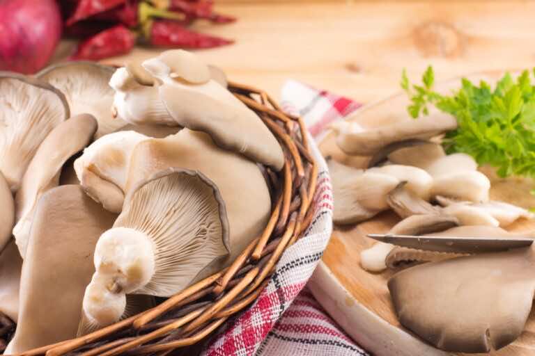 Co można zrobić z boczniaków — jak wykorzystać je w kuchni?