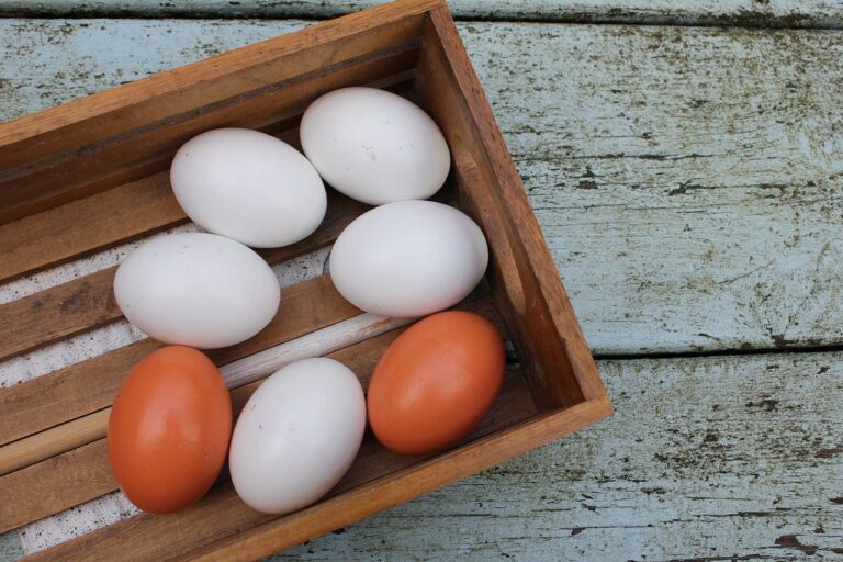 Jak długo gotować jajka